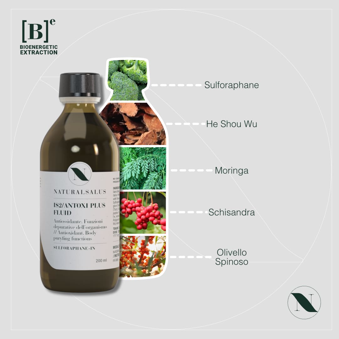 Antiossidante e depurativo naturale - ANTOXI PLUS FLUID
